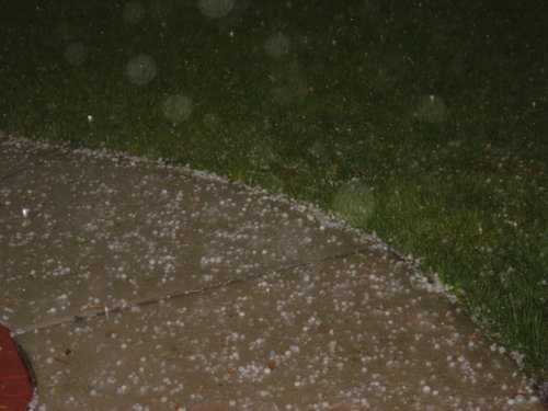 hail 002.jpg