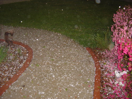 hail 003.jpg