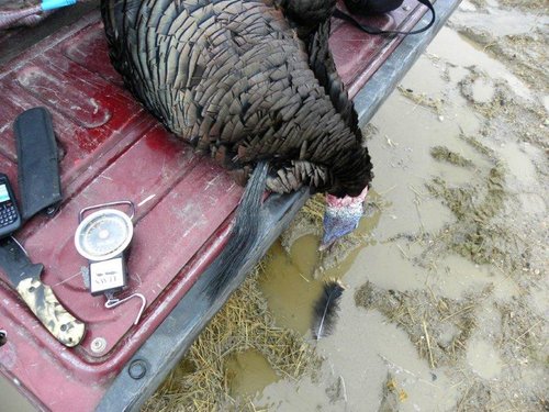 Turkey Rez 2011 012.jpg