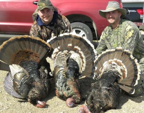 2010 turk.jpg 2010 turk.jpg