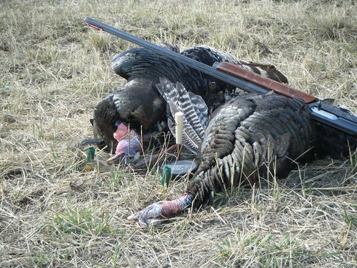 turkey 006.JPG