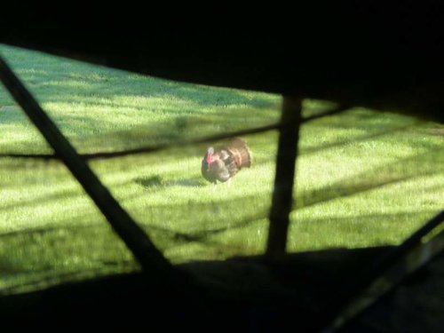 P1010725 (2).jpg