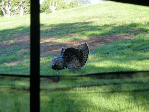 P1010726 (2).jpg