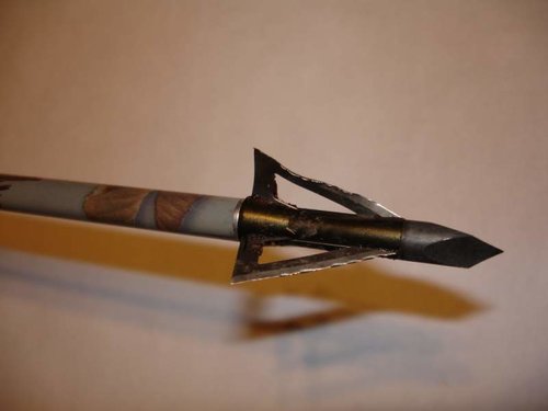 Turkey2011 097.jpg Turkey2011 097.jpg