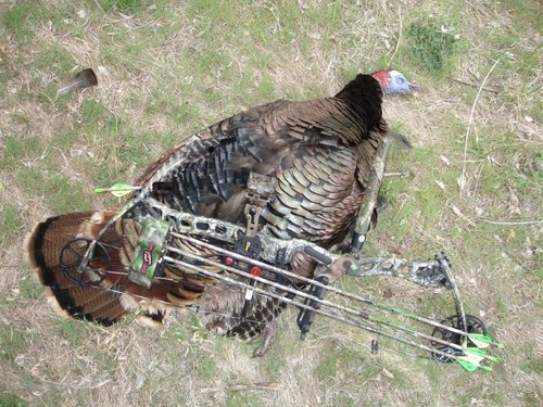 Turkey2011 087.jpg Turkey2011 087.jpg