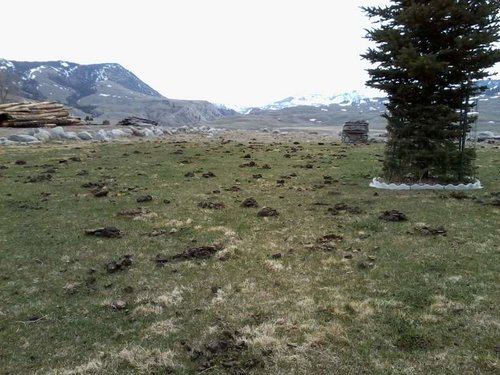 Photo014.jpg Photo014.jpg