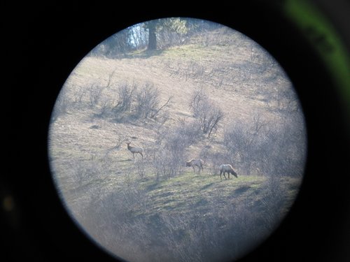 IMG_0231.JPG IMG_0231.JPG