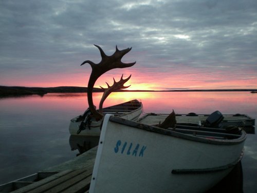 jcaribou 07 096.jpg