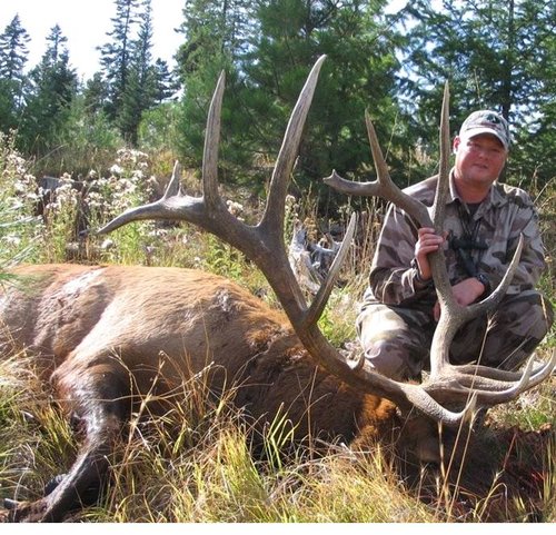 Buddy's Elk.jpg