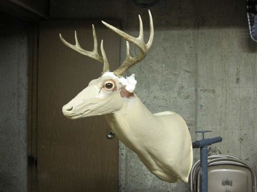 IMG_0689.jpg IMG_0689.jpg