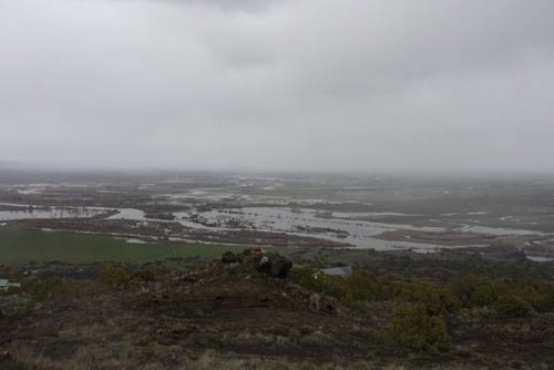 flood1.jpg