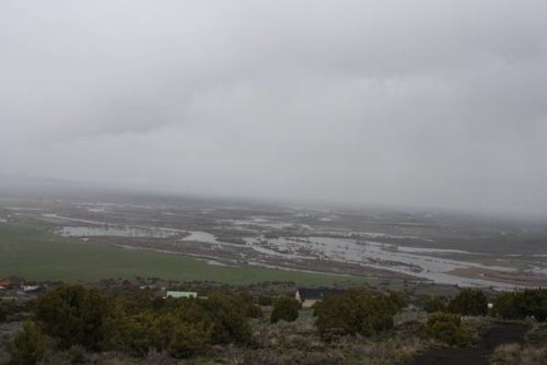 flood3.jpg