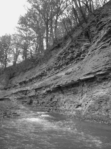 P1010550.jpg P1010550.jpg