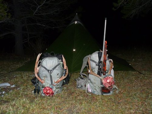 twodeer.jpg twodeer.jpg