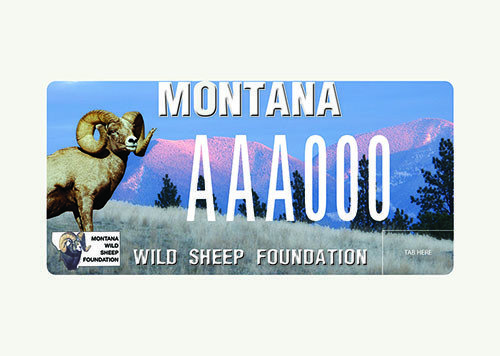 plateMontanaWildSheepFoundationThumb.jpg