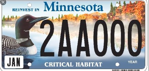 loon plate.JPG