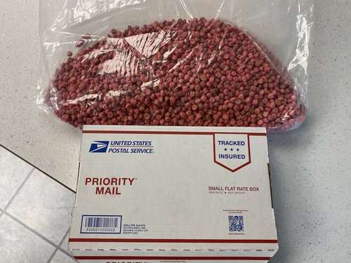 IMG-3877.jpg IMG-3877.jpg