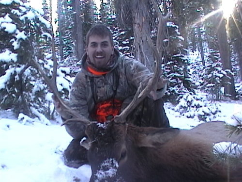 elk 93.jpg elk 93.jpg