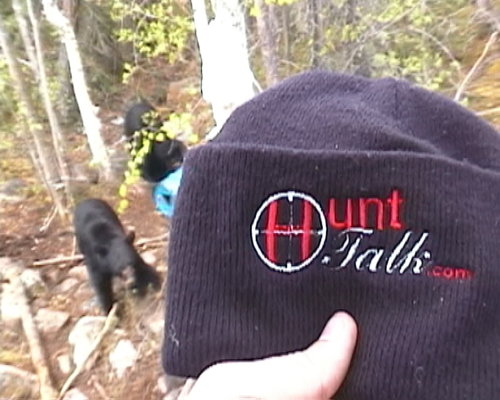 bearhat.jpg bearhat.jpg