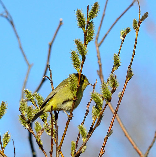 DSC_1375_216.JPG DSC_1375_216.JPG