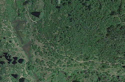 Elk on Google Earth.JPG