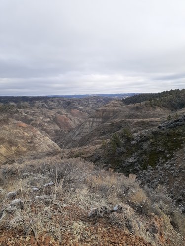 20191104_142812.jpg 20191104_142812.jpg