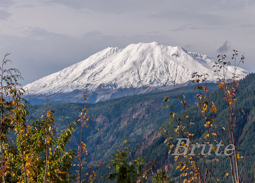 Mt. St. Helens 72a-4037.JPG