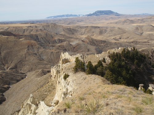 DD286948-9663-4F07-88BA-99903AAC6813.jpeg DD286948-9663-4F07-88BA-99903AAC6813.jpeg