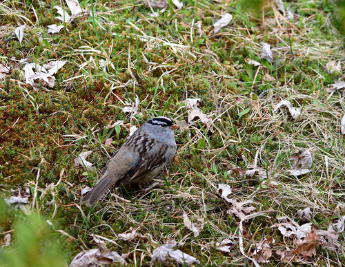 DSC_1430_219.JPG DSC_1430_219.JPG