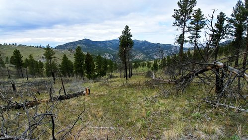 0515201147_HDR.jpg 0515201147_HDR.jpg