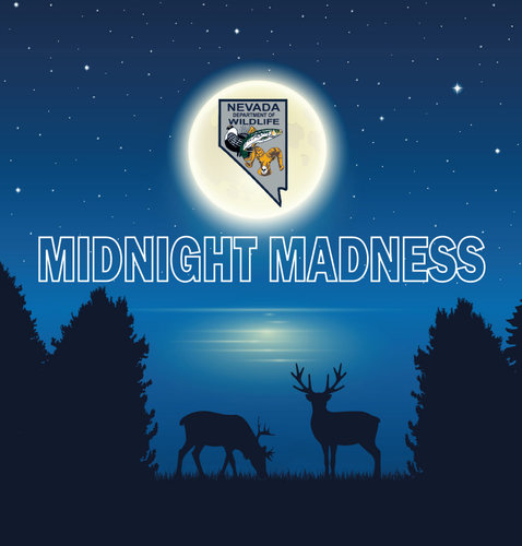 Midnight Madness3 (2).jpg Midnight Madness3 (2).jpg