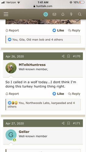 1589956985444.jpeg 1589956985444.jpeg