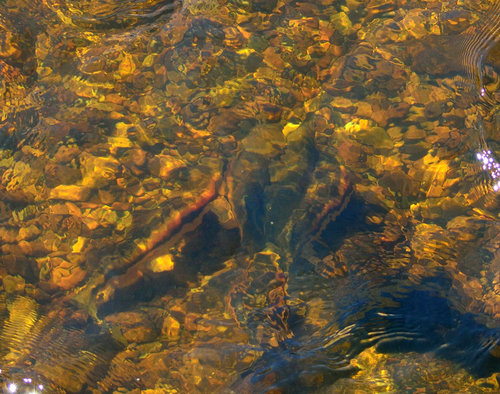 DSC_1472_226.JPG DSC_1472_226.JPG