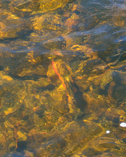 DSC_1477_227.JPG DSC_1477_227.JPG