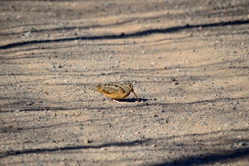 DSC_1497_228 R.JPG DSC_1497_228 R.JPG