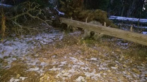 20191013_070510.jpg 20191013_070510.jpg