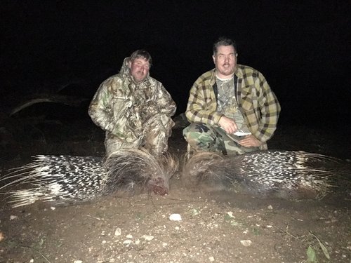 962F5B99-160C-445C-9E1D-45D24185F37C.jpeg 962F5B99-160C-445C-9E1D-45D24185F37C.jpeg