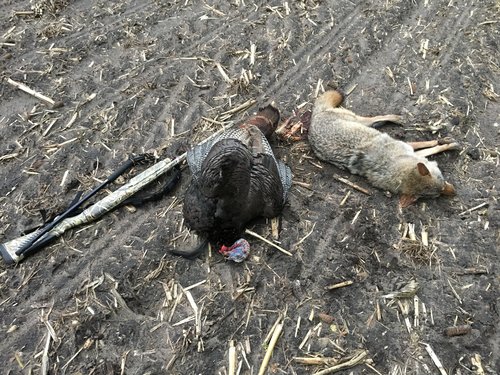 43BE11A9-BB22-4295-BA22-C065C0DED91C.jpeg 43BE11A9-BB22-4295-BA22-C065C0DED91C.jpeg