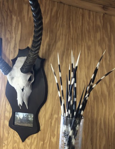 679C35B6-EE11-4B6B-AB93-D4113DA84922.jpeg 679C35B6-EE11-4B6B-AB93-D4113DA84922.jpeg