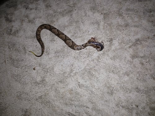 E96DF43F-89A0-4E65-AE33-D05EAE4E8DAF.jpeg E96DF43F-89A0-4E65-AE33-D05EAE4E8DAF.jpeg