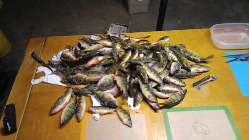 0301200737a.jpg