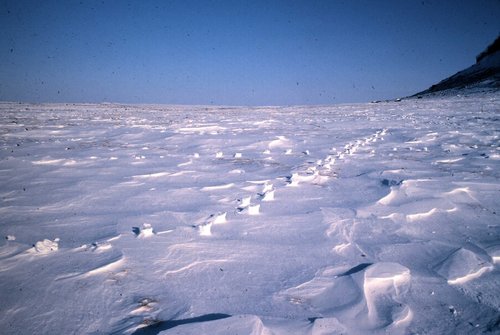 FOOTPRINTS.jpg FOOTPRINTS.jpg