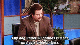 00F39D97-3A0C-4141-9096-EC9FE5FE7C02.gif 00F39D97-3A0C-4141-9096-EC9FE5FE7C02.gif