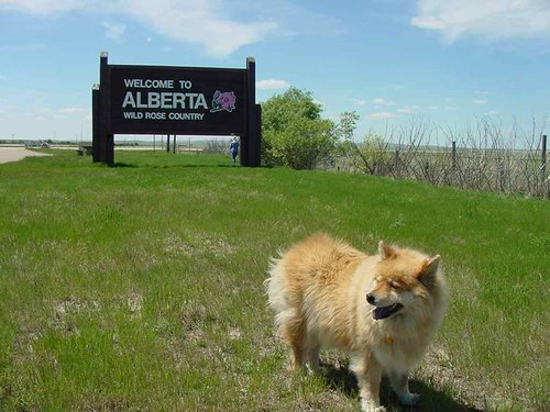 Welcome Alberta.JPG
