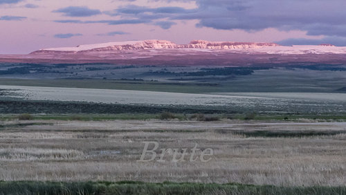 Steens Mt.  May 2020  a-4221.JPG