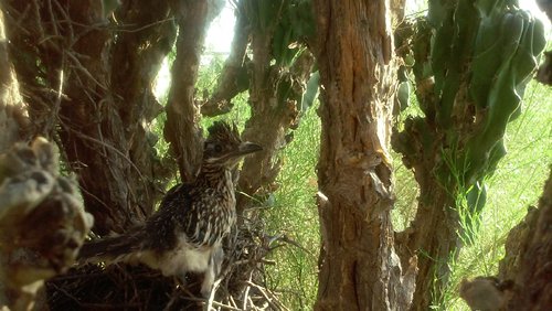 20200530_181759 (1).jpg