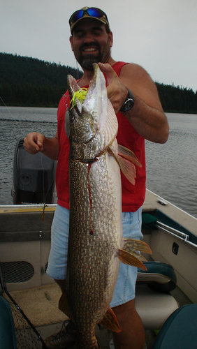 Monster Pike what's Your Favorite Lure ?