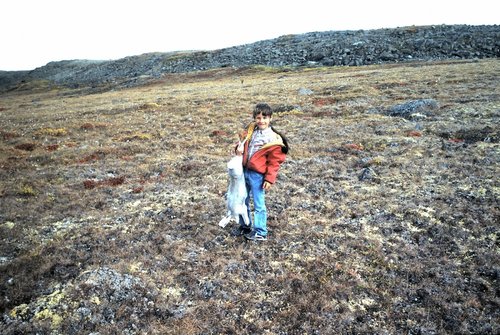 114 (211).jpg 114 (211).jpg