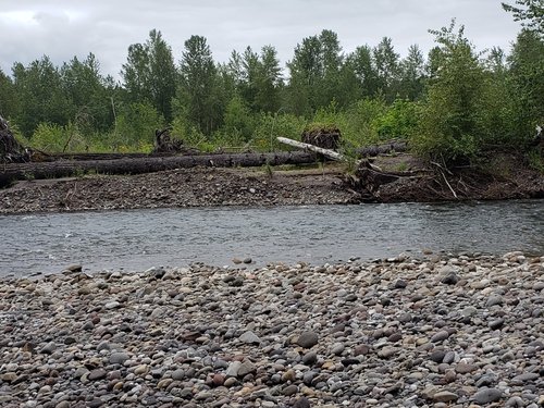 South Fork Toutle River 5.31.20.jpg