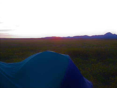 caribou_camp_mornng.jpg